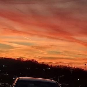 Meet your Posher, Joyce